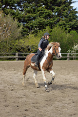 en paddock © Image'in