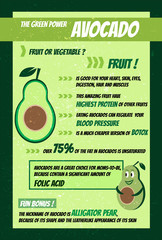 Beautiful modern avocado infographic flat design
