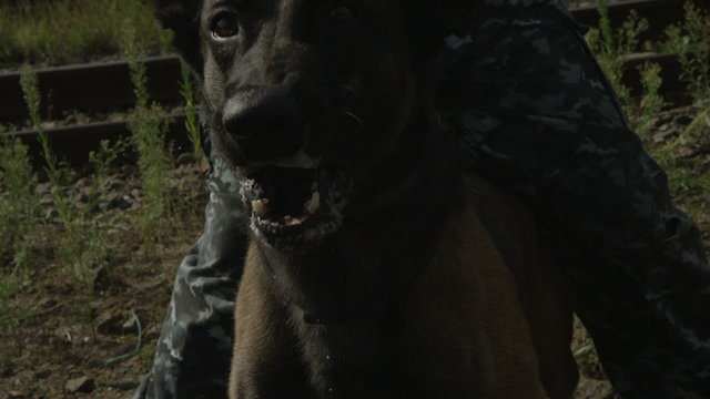 aggressive police dog barks