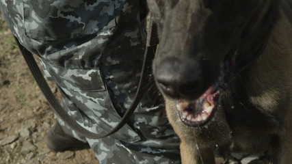 police dog barking at the camera