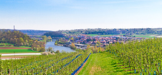 Blick auf Kirchheim am Neckar - obrazy, fototapety, plakaty