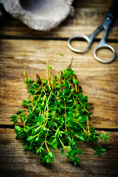 bunch of a fresh thyme