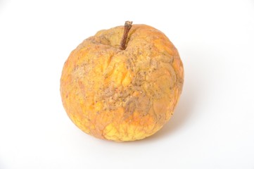 Old wrinkled apple