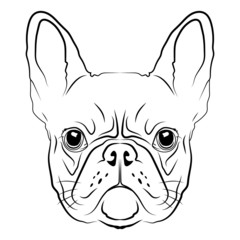 French Bulldog head logo or icon in white.