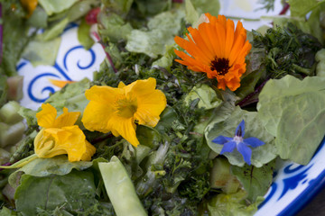 garden salad with eatable flowers, The Netherlands