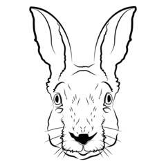 Fototapeta na wymiar Rabbit head logo or icon in white.