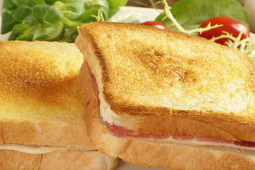 croque-monsieur 20042015