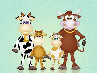 cows family