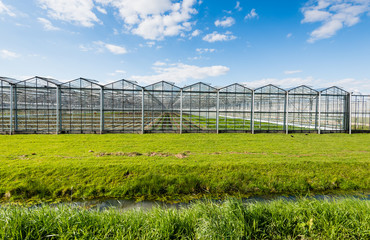 Obraz premium Modern and transparent greenhouse on the outside