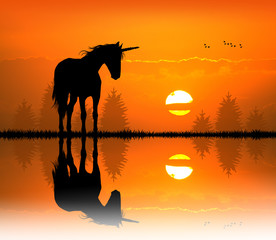unicorn © adrenalinapura