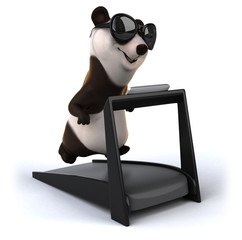 Fun panda © Julien Tromeur
