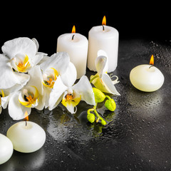 beautiful spa still life of blooming white orchid flower, phalae