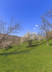 Spring in the mountains near the village of Lahij Azerbaijan