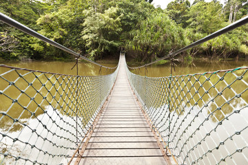 Rope bridge in a jungle