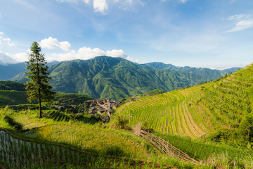 Fototapeta na wymiar Landscape photo of rice terraces and village in china