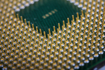 macro shot of computer processor