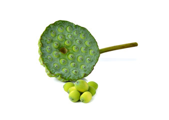 Lotus seeds and pods of lotus on white background © yodaswaj