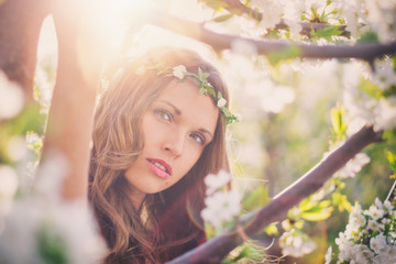 Beauty in the sunset