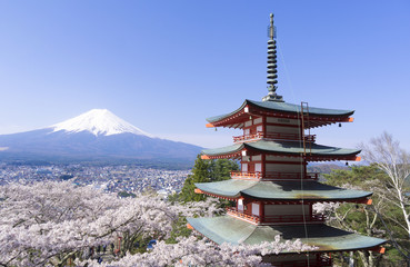 富士山と満開の桜　 新倉富士浅間神社　快晴青空