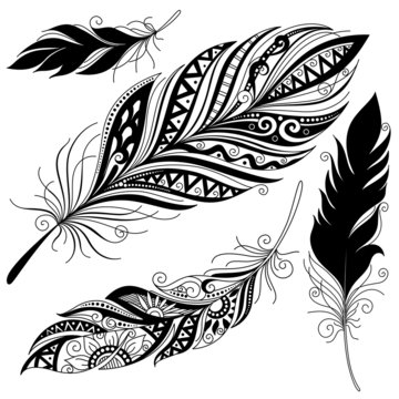 Vector Peerless Decorative Feather