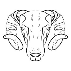 Ram head logo or icon in white for a mascot and T-shirt graphic.