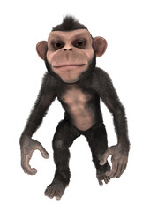 Naklejka premium Little Chimp