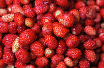 wild strawberries