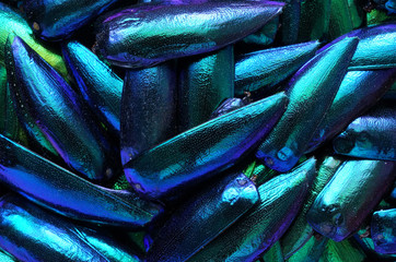 Metallic wings texture