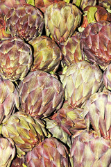 Artichokes