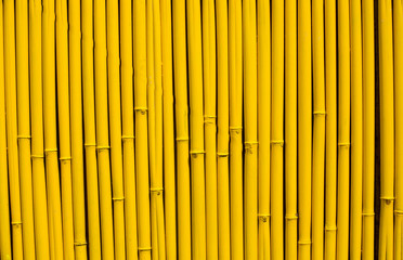 bamboo background of bamboo sticks arranged in a row