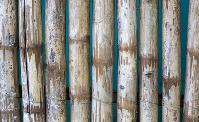 bamboo background of bamboo sticks arranged in a row