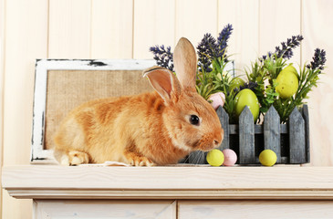 Cute red rabbit with Easter eggs on shelf on wooden wall background