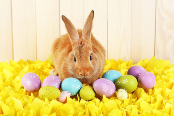 Cute red rabbit with Easter eggs on yellow fabric on wooden wall background