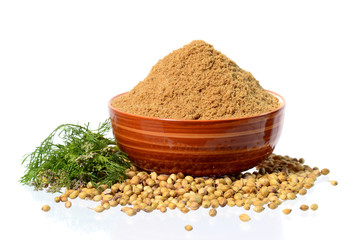 Coriander seeds, Fresh Coriander and Powdered coriander © Dipak Shelare