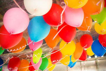 Colorful balloons floating on the ceiling of a party - obrazy, fototapety, plakaty