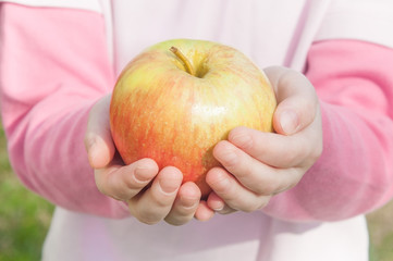 apple in children's hands