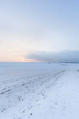 Agricultural field at the winter wind evening