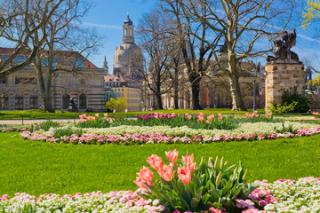Frühling in Dresden