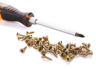 Screws and screwdriver