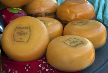 Seven dutch cheeses on the market