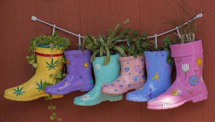 Colorful rubber boot decoration on wooden wall as plant jardinie