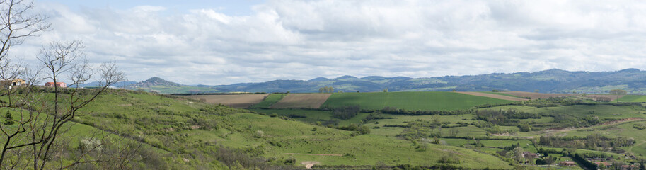 Fototapeta na wymiar printemps sur l' Auvergne