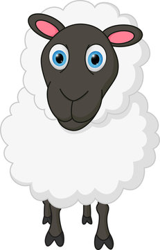 Sheep cartoon
