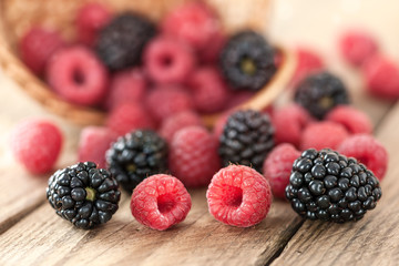 Brombeeren und Himbeeren
