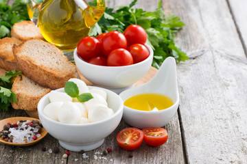 delicious mozzarella and ingredients for a salad on wooden table