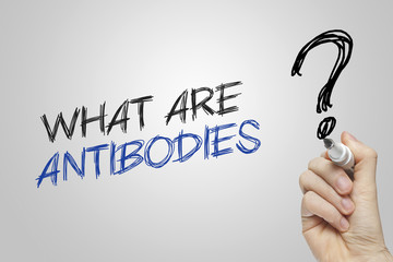 Hand writing what are antibodies