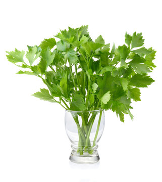 Green celery  on white background