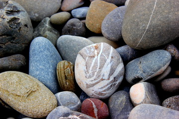 цвета природы