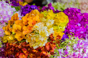 various colors of orchids in the flower market Asia