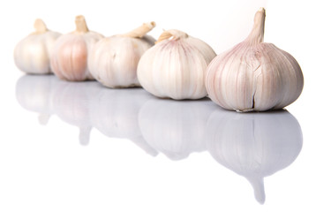 Garlic over white background